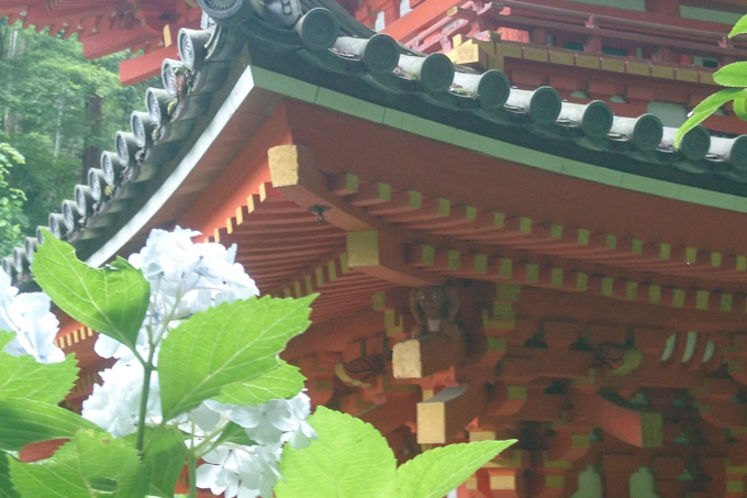 【岩船寺・浄瑠璃寺】アクセス(3)