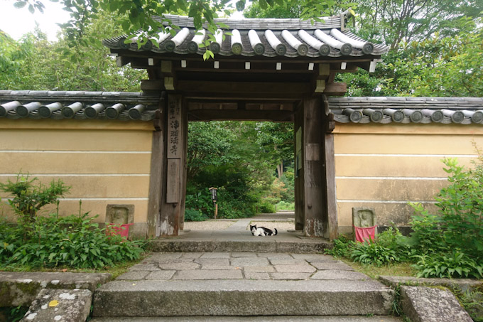 【岩船寺・浄瑠璃寺】アクセス(5)