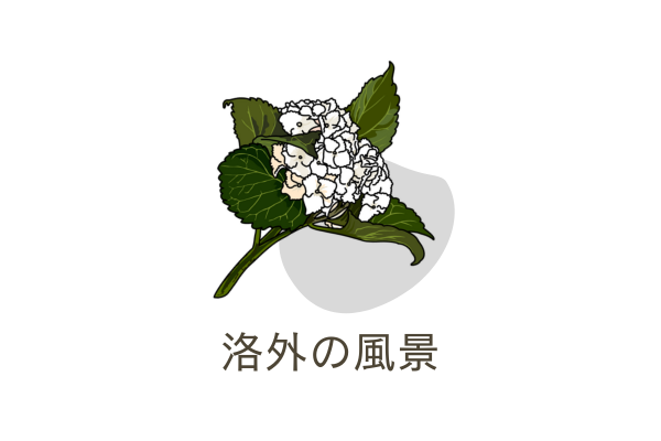 カテゴリB